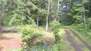 長野県菅平高原 ゆたか山荘 坂上 2026/06/12 14:30