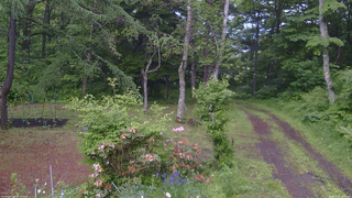 長野県菅平高原 ゆたか山荘 坂上 2026/06/12 14:45