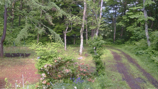 長野県菅平高原 ゆたか山荘 坂上 2026/06/12 15:00