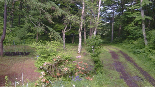 長野県菅平高原 ゆたか山荘 坂上 2026/06/12 15:45