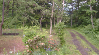 長野県菅平高原 ゆたか山荘 坂上 2026/06/12 16:45