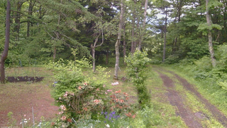 長野県菅平高原 ゆたか山荘 坂上 2026/06/12 17:15
