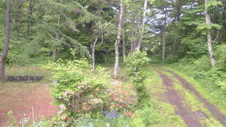 長野県菅平高原 ゆたか山荘 坂上 2026/06/12 17:45