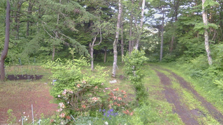 長野県菅平高原 ゆたか山荘 坂上 2026/06/12 18:00