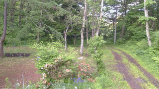 長野県菅平高原 ゆたか山荘 坂上 2026/06/12 18:15