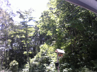 長野県菅平高原 ゆたか山荘 温度計 2026/06/13 09:15