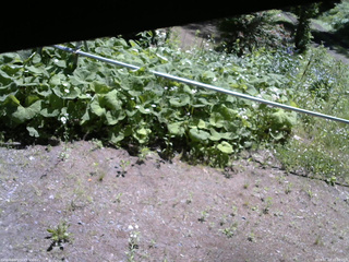 長野県菅平高原 ゆたか山荘 駐車場 2026/06/13 10:00