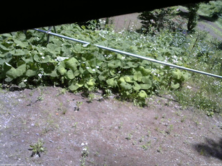 長野県菅平高原 ゆたか山荘 駐車場 2026/06/13 11:15