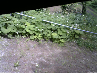 長野県菅平高原 ゆたか山荘 駐車場 2026/06/13 13:15