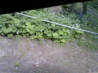 長野県菅平高原 ゆたか山荘 駐車場 2026/06/13 14:30