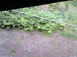 長野県菅平高原 ゆたか山荘 駐車場 2026/06/13 17:00