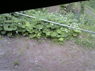 長野県菅平高原 ゆたか山荘 駐車場 2026/06/13 17:30