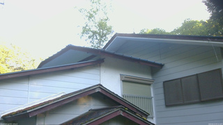 長野県菅平高原 ゆたか山荘 駐車場奥 2026/06/13 05:15
