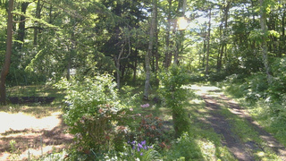 長野県菅平高原 ゆたか山荘 坂上 2026/06/13 08:00