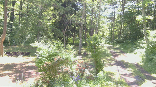 長野県菅平高原 ゆたか山荘 坂上 2026/06/13 09:00