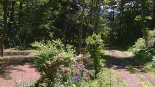長野県菅平高原 ゆたか山荘 坂上 2026/06/13 10:00
