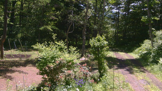 長野県菅平高原 ゆたか山荘 坂上 2026/06/13 10:15