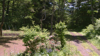 長野県菅平高原 ゆたか山荘 坂上 2026/06/13 10:30