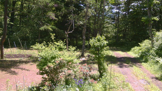 長野県菅平高原 ゆたか山荘 坂上 2026/06/13 10:45