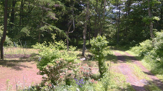 長野県菅平高原 ゆたか山荘 坂上 2026/06/13 11:15