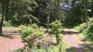 長野県菅平高原 ゆたか山荘 坂上 2026/06/13 11:30