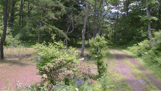 長野県菅平高原 ゆたか山荘 坂上 2026/06/13 11:45