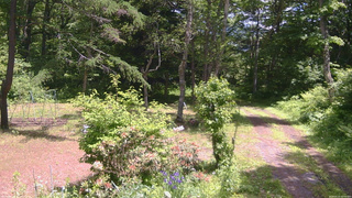 長野県菅平高原 ゆたか山荘 坂上 2026/06/13 12:00
