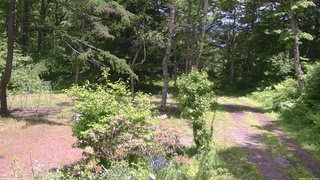 長野県菅平高原 ゆたか山荘 坂上 2026/06/13 12:15