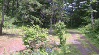 長野県菅平高原 ゆたか山荘 坂上 2026/06/13 12:30