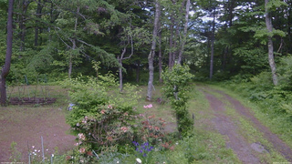 長野県菅平高原 ゆたか山荘 坂上 2026/06/13 12:45