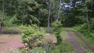 長野県菅平高原 ゆたか山荘 坂上 2026/06/13 13:15