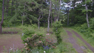 長野県菅平高原 ゆたか山荘 坂上 2026/06/13 13:30