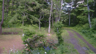 長野県菅平高原 ゆたか山荘 坂上 2026/06/13 14:30