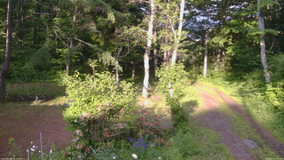 長野県菅平高原 ゆたか山荘 坂上 2026/06/13 17:15