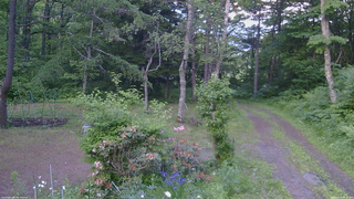 長野県菅平高原 ゆたか山荘 坂上 2026/06/13 18:15