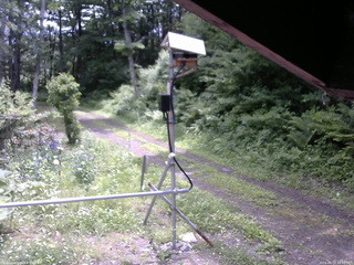 長野県菅平高原 ゆたか山荘 南側 2026/06/14 10:30