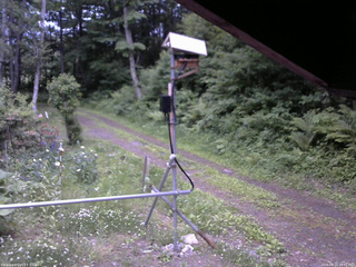 長野県菅平高原 ゆたか山荘 南側 2026/06/14 18:45