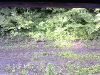 長野県菅平高原 ゆたか山荘 東側(坂下) 2026/06/14 06:15
