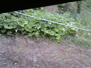 長野県菅平高原 ゆたか山荘 駐車場 2026/06/14 05:45