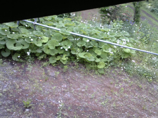 長野県菅平高原 ゆたか山荘 駐車場 2026/06/14 06:00