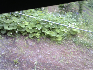 長野県菅平高原 ゆたか山荘 駐車場 2026/06/14 06:15