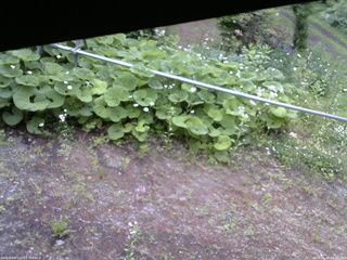 長野県菅平高原 ゆたか山荘 駐車場 2026/06/14 06:45