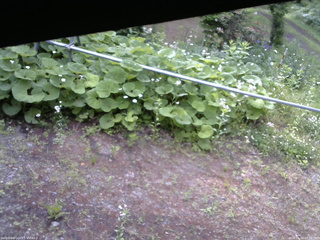 長野県菅平高原 ゆたか山荘 駐車場 2026/06/14 07:00