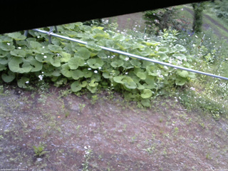 長野県菅平高原 ゆたか山荘 駐車場 2026/06/14 07:15