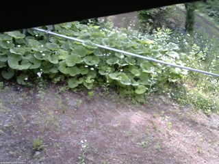 長野県菅平高原 ゆたか山荘 駐車場 2026/06/14 07:45