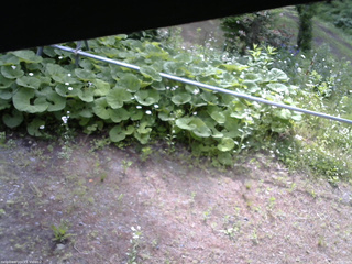 長野県菅平高原 ゆたか山荘 駐車場 2026/06/14 08:00