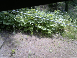長野県菅平高原 ゆたか山荘 駐車場 2026/06/14 08:30