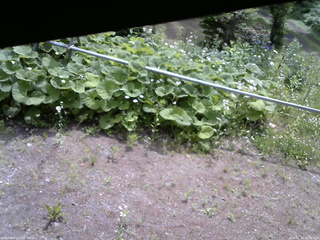 長野県菅平高原 ゆたか山荘 駐車場 2026/06/14 09:30