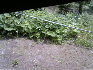 長野県菅平高原 ゆたか山荘 駐車場 2026/06/14 09:45