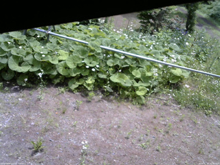 長野県菅平高原 ゆたか山荘 駐車場 2026/06/14 10:30